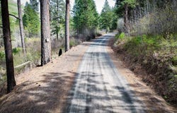 S Patit Creek Wooded Lot, Dayton, WA 99328