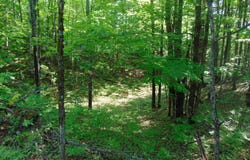 TBD 1 Alston, Pelkie, MI 49958