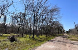 Tbd Penguin Lane, Holiday Lakes, TX 77515