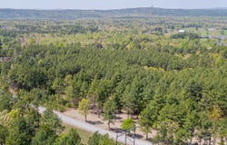 TRACT 10 High Peak Rd, Hot Springs, AR 71909