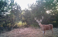 2998 Straws Mill Road, Gatesville, TX 76528