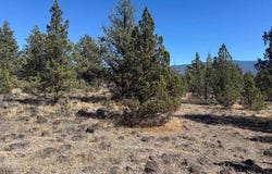 Bunny Lane lot: 2, Montague, CA 96064