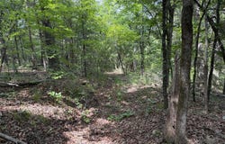 Moore Bend Road, Cedarcreek, MO 65627