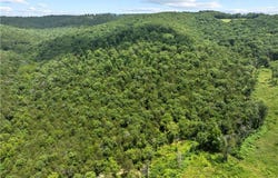 000 NC 2900  AVE, Marble Falls, AR 72648