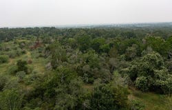 Private Road 4601 lot: 2, Waelder, TX 78959