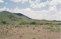 WILLOW SPRINGS RANCH Lot: 35, San Antonio, NM 87832