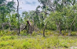 LOT74 NW 22ND AVENUE, Jasper, FL 32052