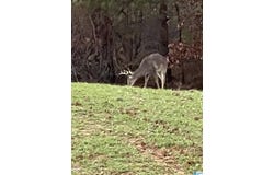 5000 EADS UPTAIN ROAD, ADGER, AL 35006