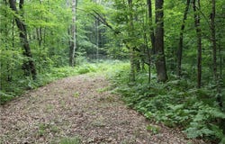 Lot 11 103rd Street Streets, Frederic, WI 54837