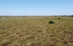 Inez, TX 77968