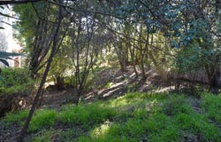962 Regal Rd, Berkeley, CA 94708