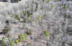 000 CAVANAUGH Road, Royal, AR 71968