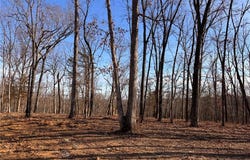 Lot 1 Klausmeier Trails, Wright City, MO 63390