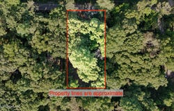 226 Ferrell Road, Ashland, MS 38603