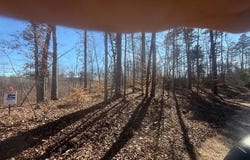 TRACT 5 GEORGE WALTER Rd, Bolivar, TN 38008