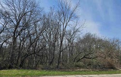 24-5 Lake Carroll, LAKE CARROLL, IL 61046