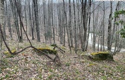 100 Fireweed Lane, Beech Mountain, NC 28604