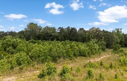 630 3953, Hawkins, TX 75765
