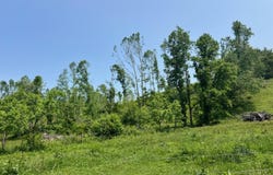 00 Antioch Road, Mountain City, TN 37683