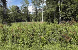 1 Clairvaux Drive, Gadsden, AL 35901