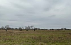 Nixon, TX 78140