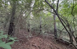 N Lot 2 River Road, Summit, MS 39666
