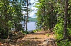 15,15.1 Wadleigh Pond Road, T4 Indian Purchase Twp, ME 04462