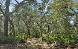 10.06 Acres On Julienton Road NE, Townsend, GA 31331