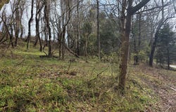Birch Lane, Wheeling, WV 26003