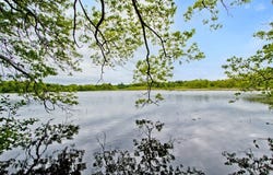 Lot 3 Ridge Road, Northborough, MA 01532