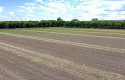3025/3035 W O'Hara Road, Anthony, NM 88021