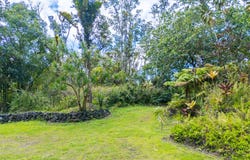 13-1270 LEILANI AVE, Pahoa, HI 96778