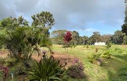 KANAELE RD, Kapaa, HI 96746