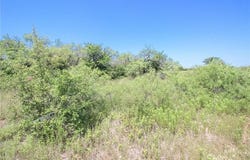 Tbd HCR 2119, Whitney, TX 76692