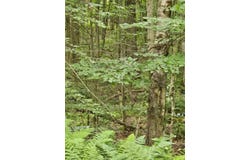 111 Mill Road, Richfield Springs, NY 13439