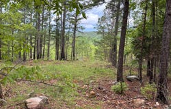002 E Bolen Hollow W, Pittsburg, OK 74560