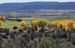 3115 CR 973, Ignacio, CO 81137