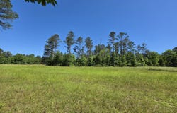 Reedy Branch Rd., Shottsville, AL 35582