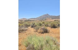 426-390-26 Flycatcher, Weldon, CA 93283