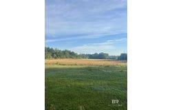 Joe Reeves Road, Castleberry, AL 36432