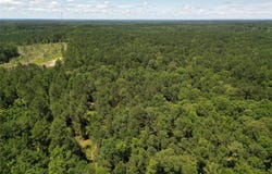 000 William Colvin Road, Bernice, LA 71222