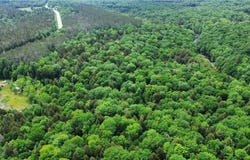 Rt-8 lot: 112, Cold Brook, NY 13324