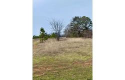 433 Palo Duro Lane, Bullard, TX 75757