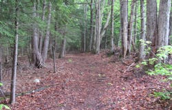 L5 Seven Hills Road, Northampton, NY 12134
