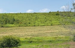 2093 Edson Road, Gerry, NY 14782