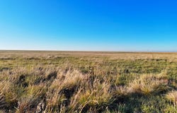 County Road 37, Hartman, CO 81047