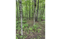 0 South Royalston Rd, Royalston, MA 01368