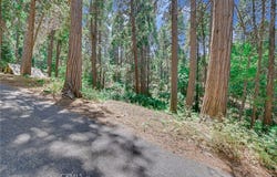 590 Electra Drive, Crestline, CA 92325