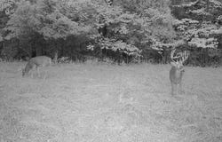 KY 1700, Fordsville, KY 42343