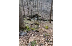 198 Turkey Town Road, Hilham, TN 38568